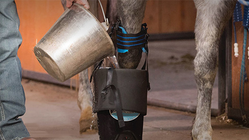Horse Hoof Boots and Gel Insert Orthotics for Horses Soft Ride