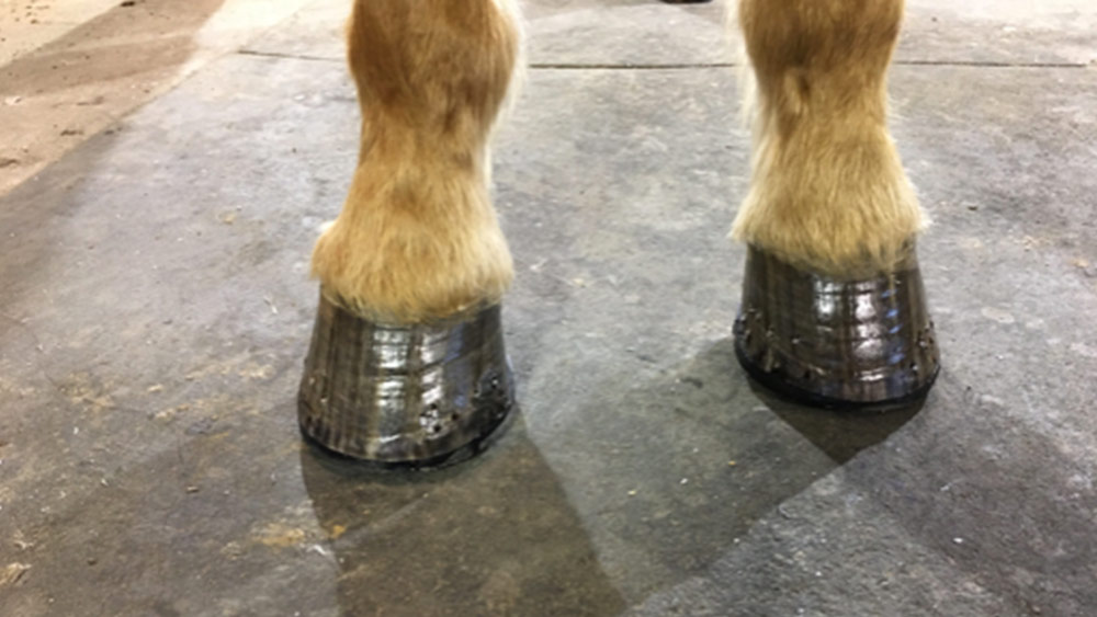 ELT Botte Thermique Calgary Unisex Étain