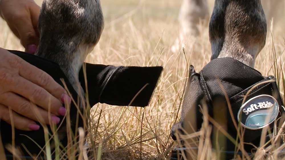 soft ride boots canada